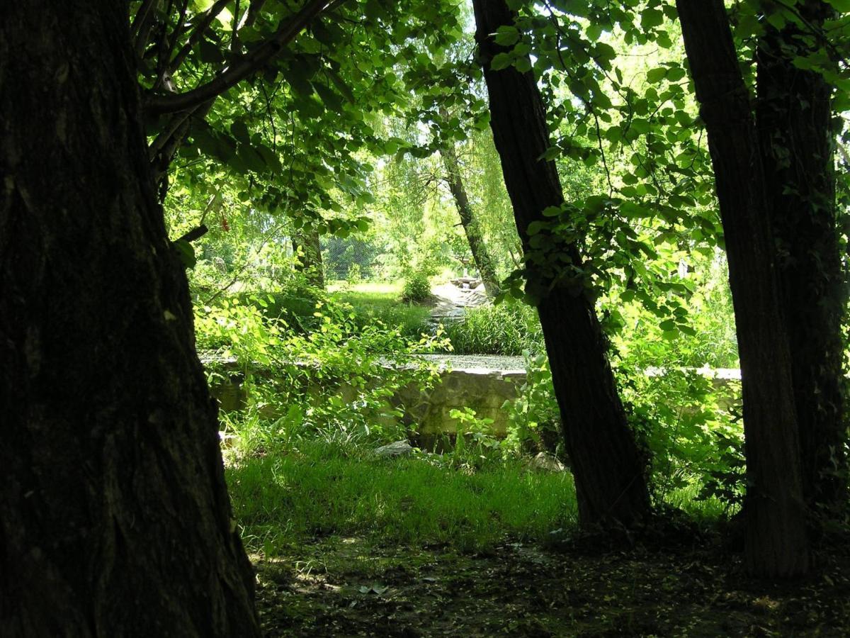 Forest Art Villa Zagreb Sveta Nedjelja  Eksteriør billede