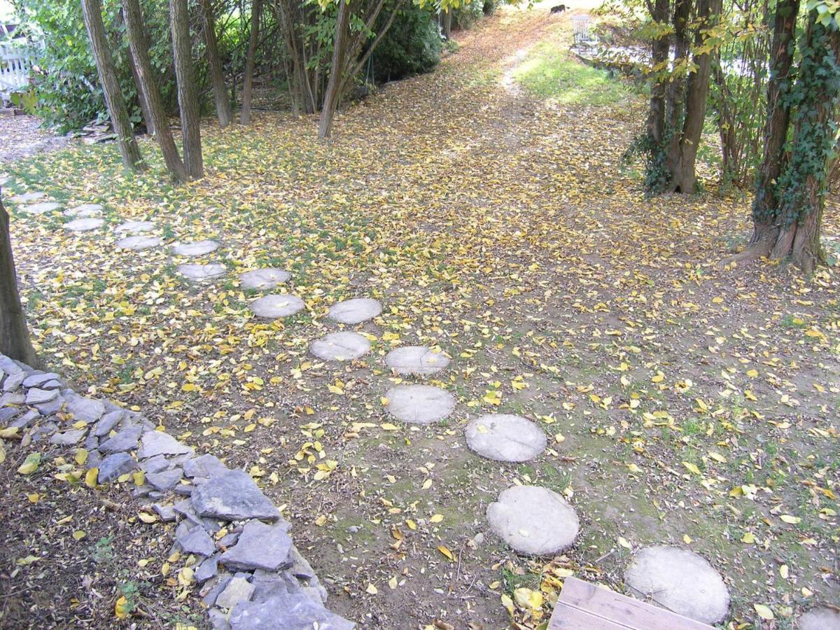 Forest Art Villa Zagreb Sveta Nedjelja  Eksteriør billede