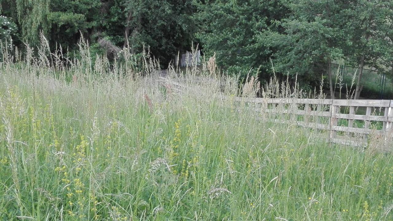 Forest Art Villa Zagreb Sveta Nedjelja  Eksteriør billede