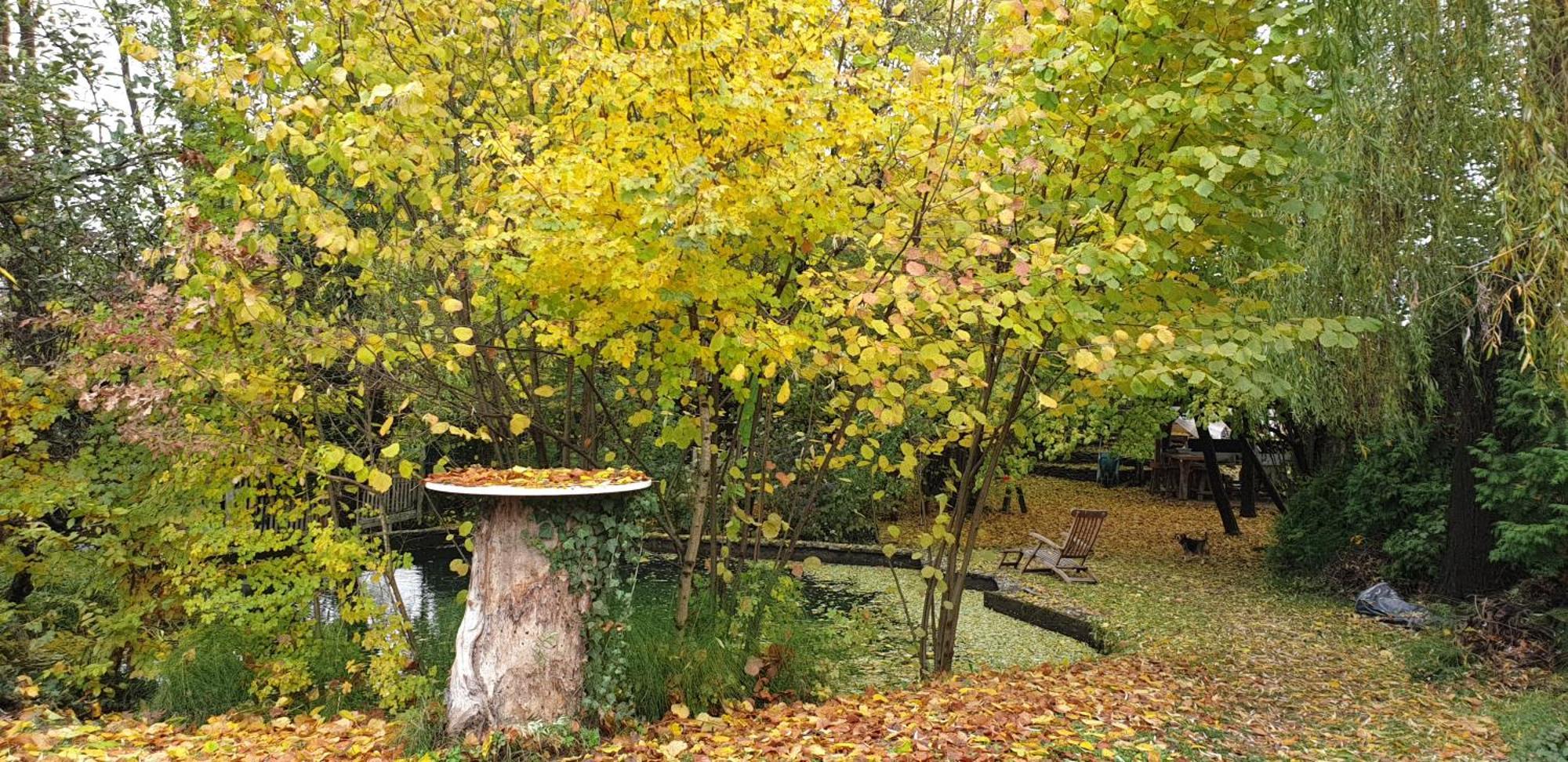 Forest Art Villa Zagreb Sveta Nedjelja  Eksteriør billede