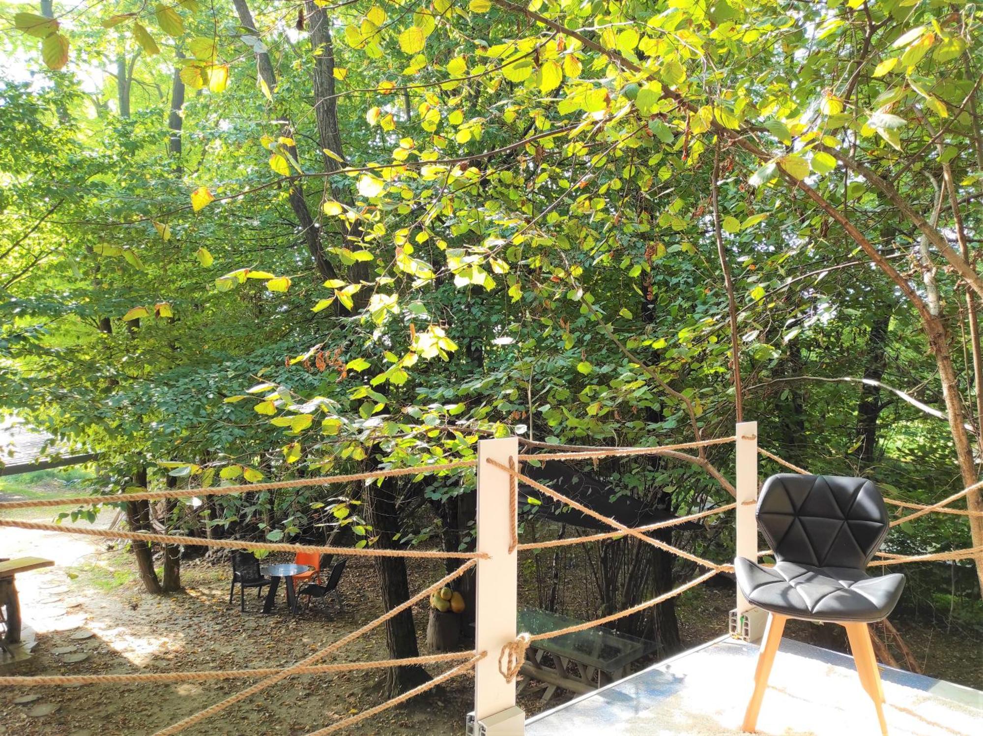 Forest Art Villa Zagreb Sveta Nedjelja  Eksteriør billede